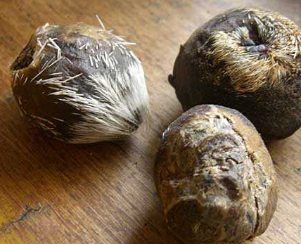 Маск